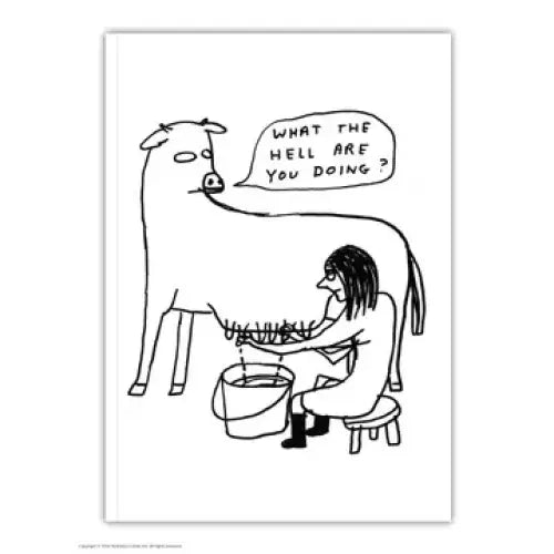 What The Hell A6 Notebook - PABOOM