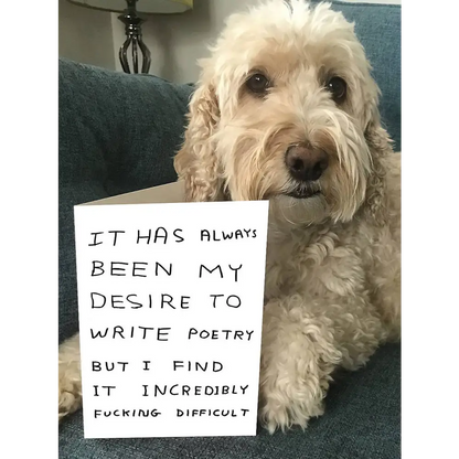 Write Poetry Card - PABOOM