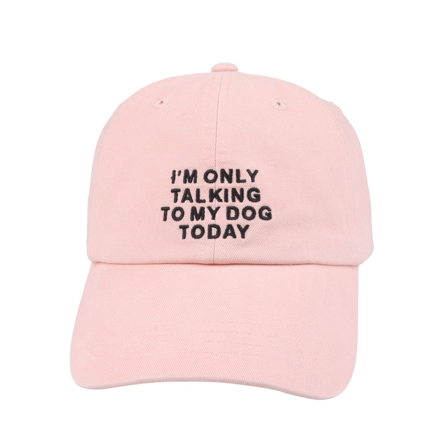 I'm Only Talking to My Dog Today Hat - Black