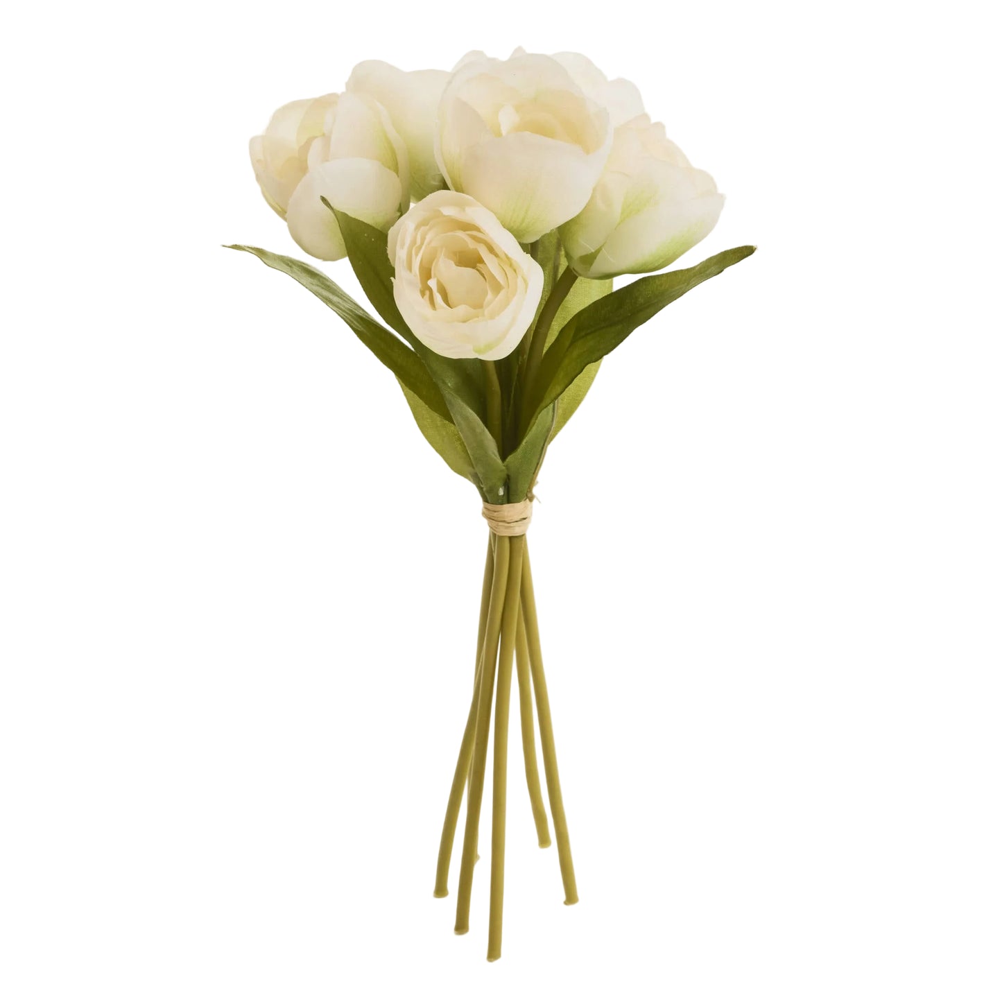 Tulips Flowers Bouquet (Tulipa Gesneriana) 12"
