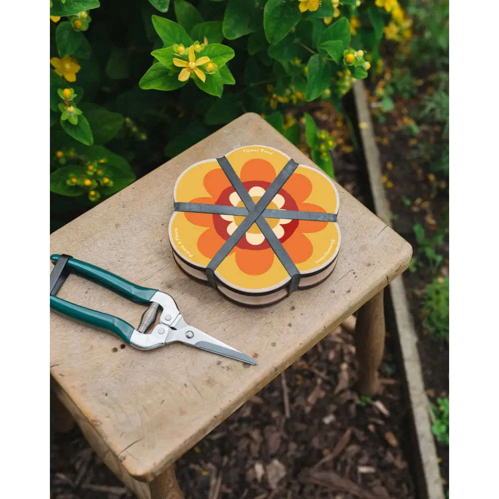 Studio Wald - UK Made - Flower Shaped Press - Orange & Yellow
