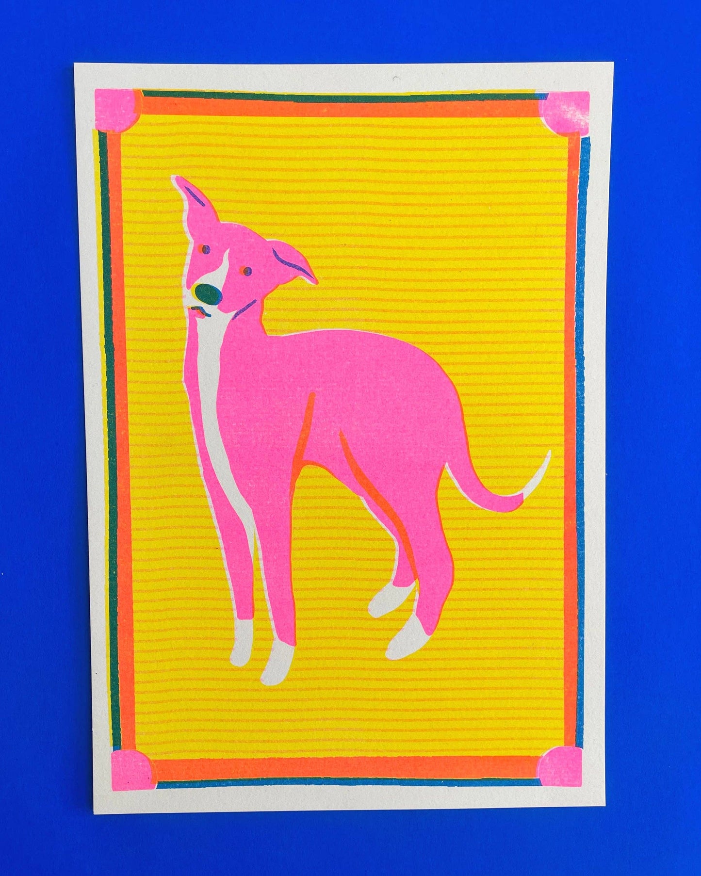 Risograph print of a pink whippet on a bold yellow background with graphic tribal-style border - PABOOM