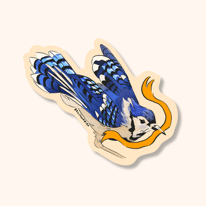 Blue Jay Sticker