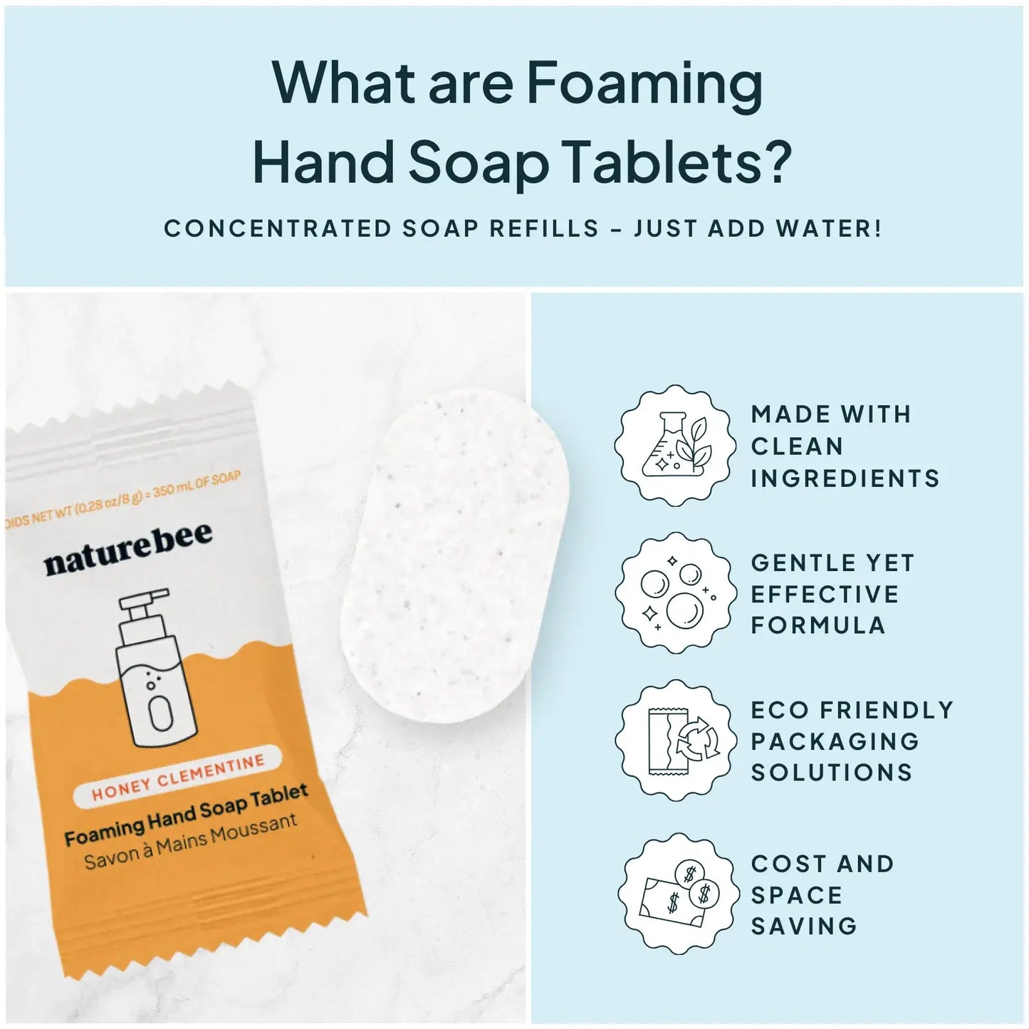 Concentrated Foaming Hand Soap Refills - 2-pack box : Eucalyptus Mint