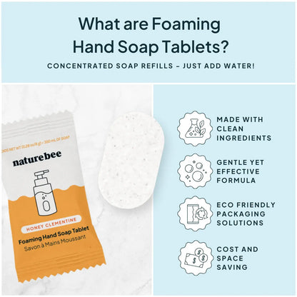 Concentrated Foaming Hand Soap Refills - 2-pack box : Eucalyptus Mint