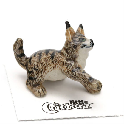 Cosey Maine Coon Kitten Porcelain Miniature