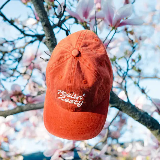Feelin' Zesty washed brick dad hat side view with low crown - PABOOM