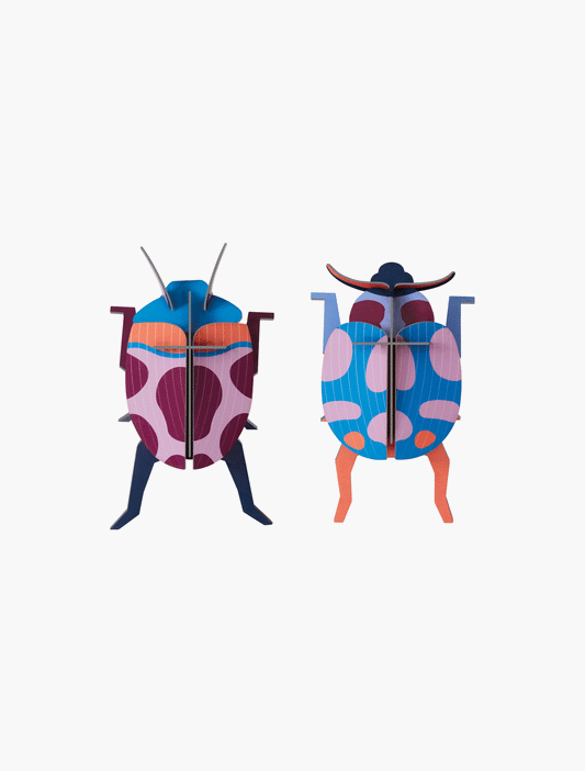 Coccinelle Couple Ladybirds Wall Art