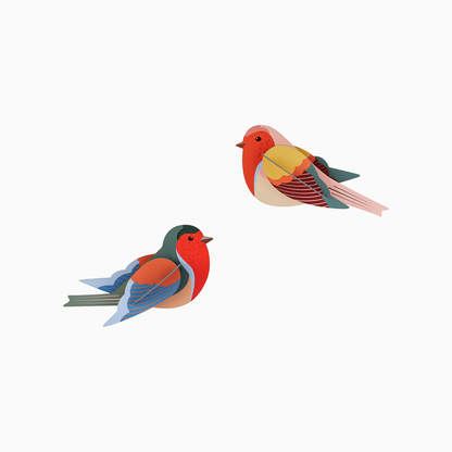 Robins 3D Wall Art