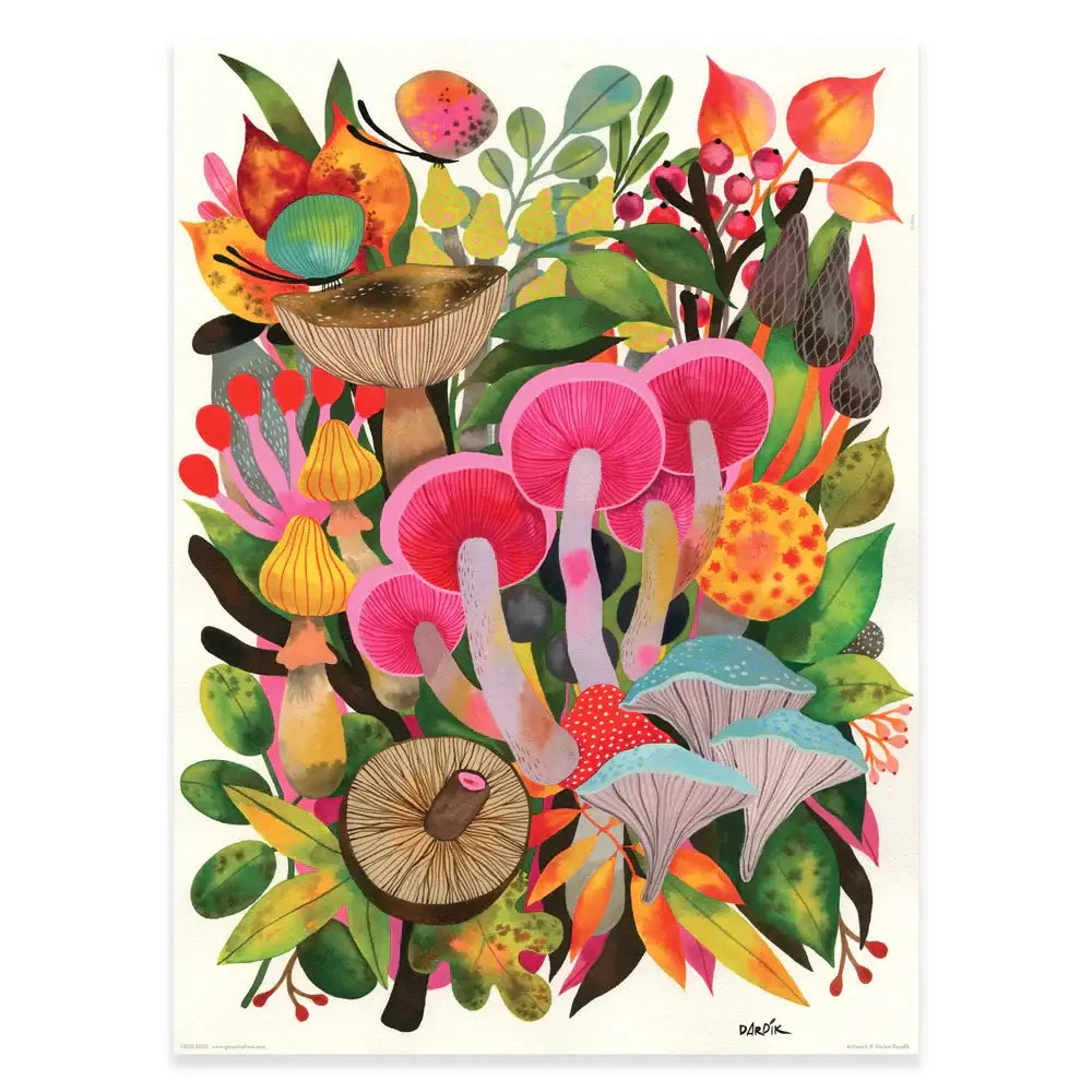 Puzzle Dardik Mushrooms 500 pc - PABOOM