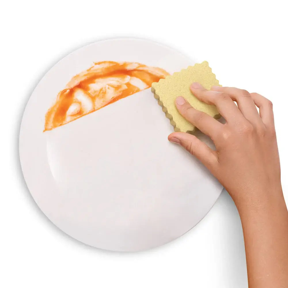 Spongioli Sponges - PABOOM