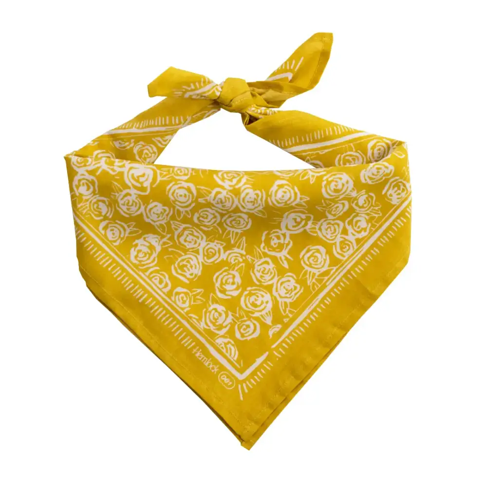 Rosehips Headband - PABOOM