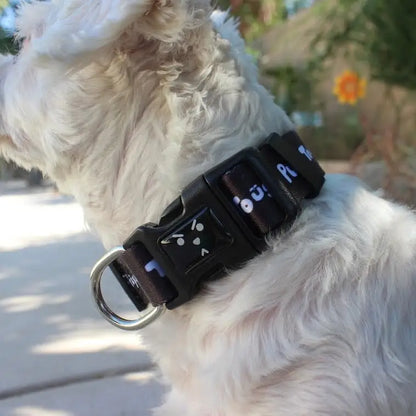 Tough Pup Dog Collar - PABOOM