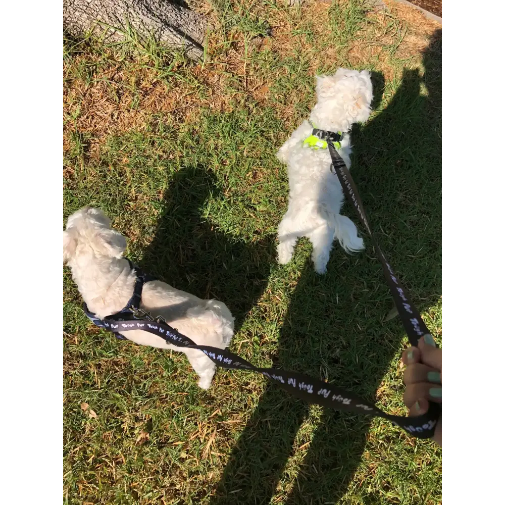 Tough Pup Leash - PABOOM