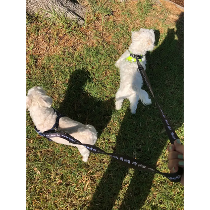 Tough Pup Leash - PABOOM