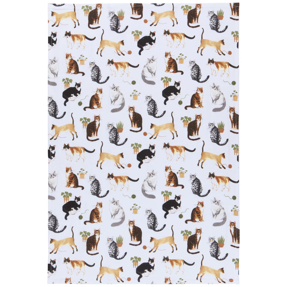 Cat Collective Baker's Floursack Dishtowels Set