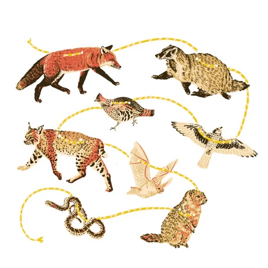 Hissing Mink - Pacific Northwest Grassland Paper Garland - illustration food web animals fox