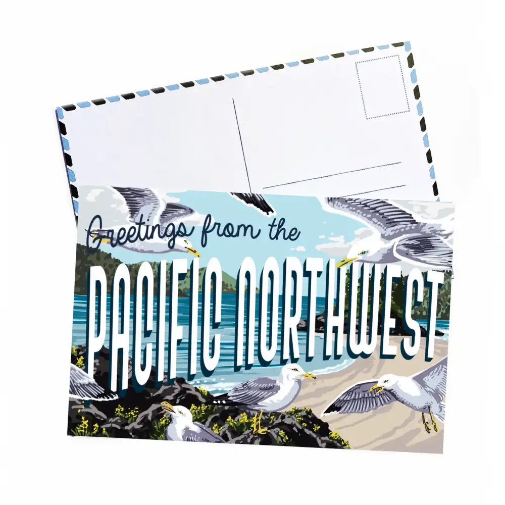 Pacific Northwest Seagull Postcard - PABOOM