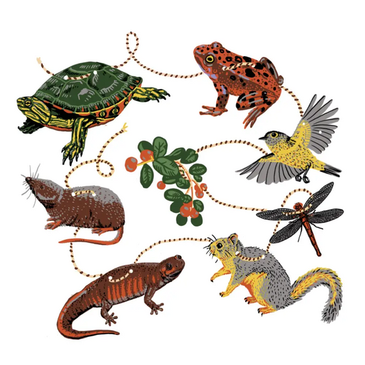 Hissing Mink - Pacific Northwest Wetland Paper Garland - illustration interconnected animals plant