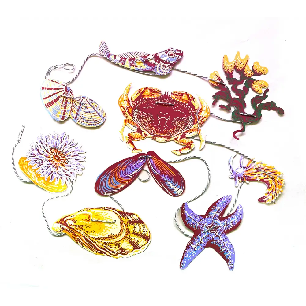 Hissing Mink - Tide Pool Paper Garland - collection colorful paper cut-outs marine