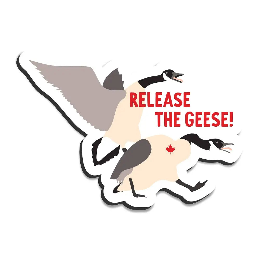 I’ll Know It When I See - Release the geese magnet