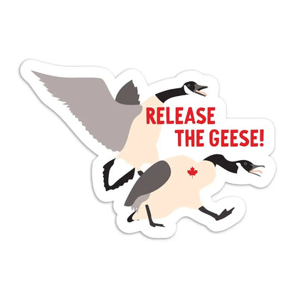 I’ll Know It When I See - Release the geese vinyl sticker