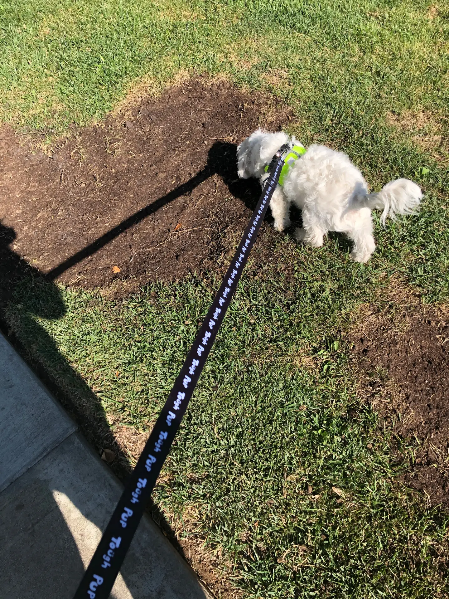 Tough Pup Leash