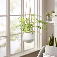 Ashbury Hanging Planter White Small