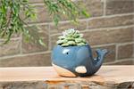 Blue Whale Planter Large