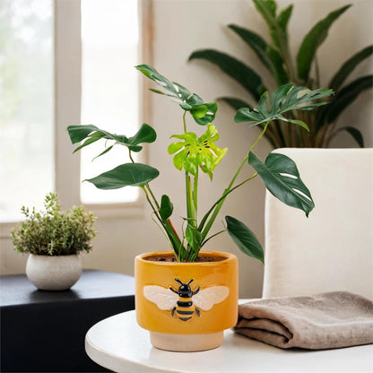 Bee Ceramic Planter