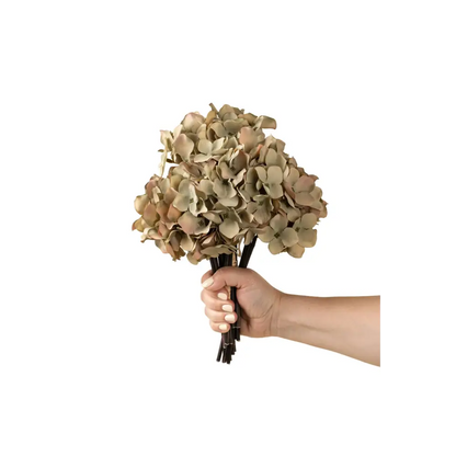 Hydrangea Bouquet - Cream
