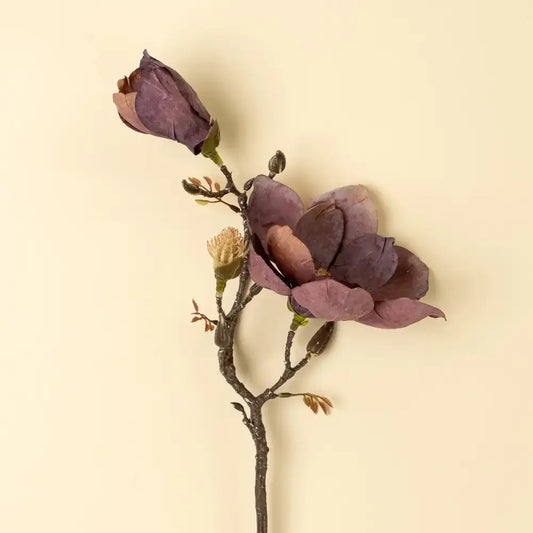 Indaba - Magnolia Branch Purple