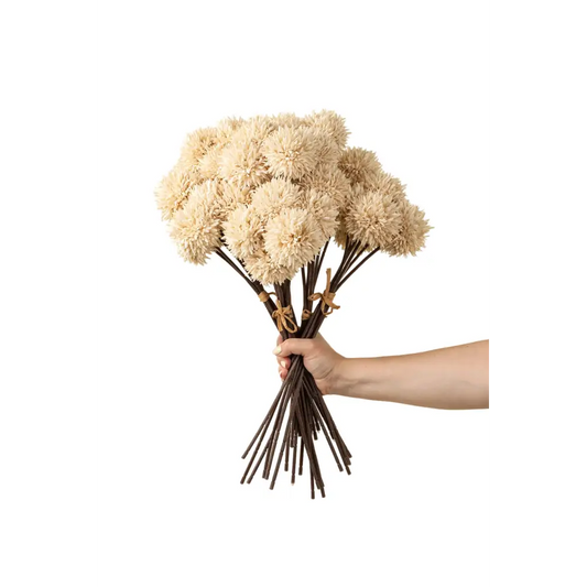Indaba - Mini Allium Bouquet Cream
