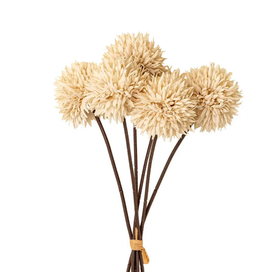 Indaba - Mini Allium Bouquet Cream