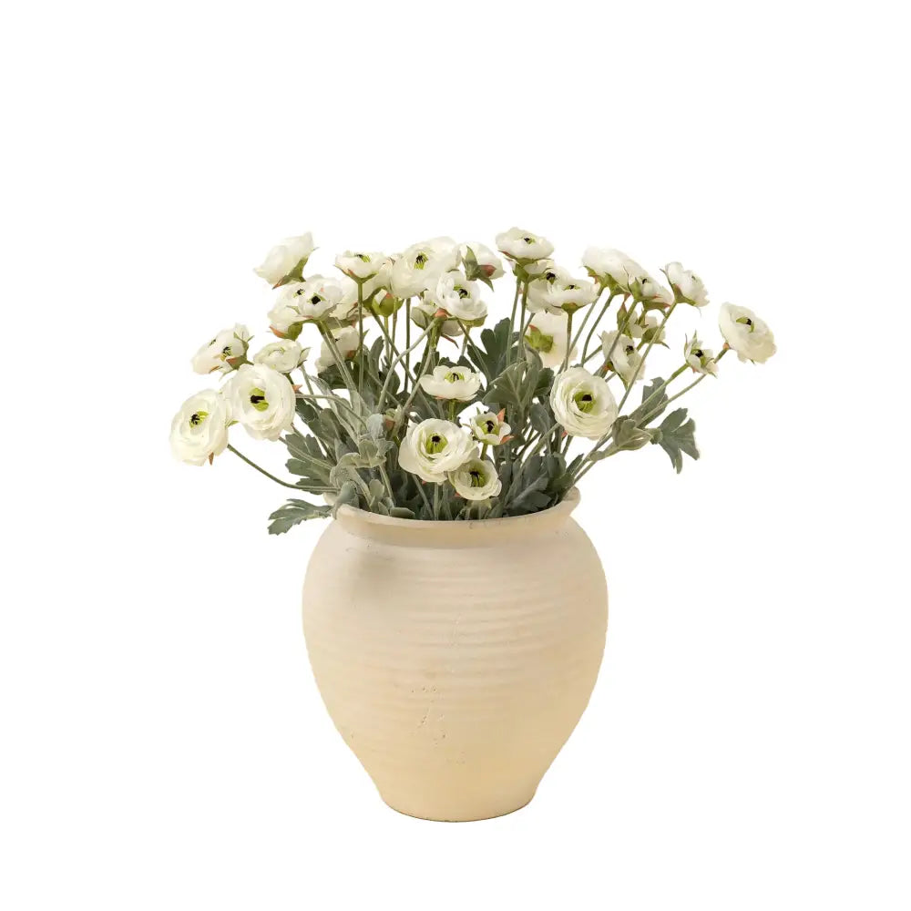 Indaba - Ranunculus Spray White