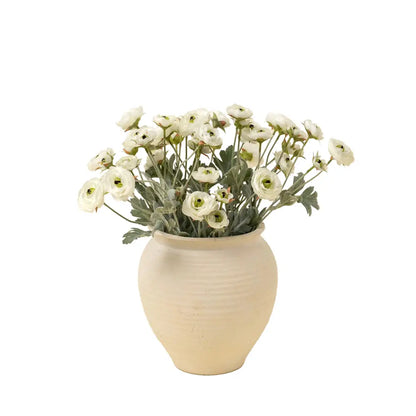 Indaba - Ranunculus Spray White