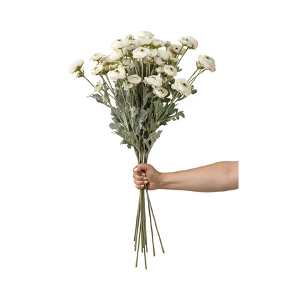 Indaba - Ranunculus Spray White