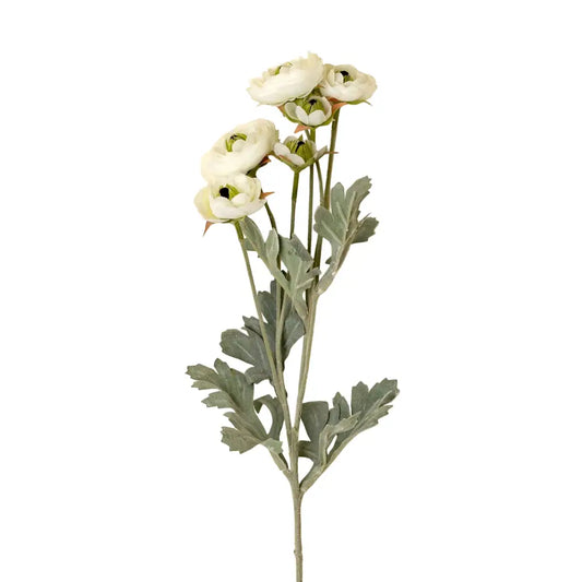 Indaba - Ranunculus Spray White