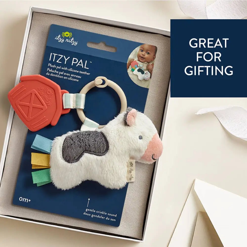 Itzy Ritzy Canada - Pal™ Plush + Teether