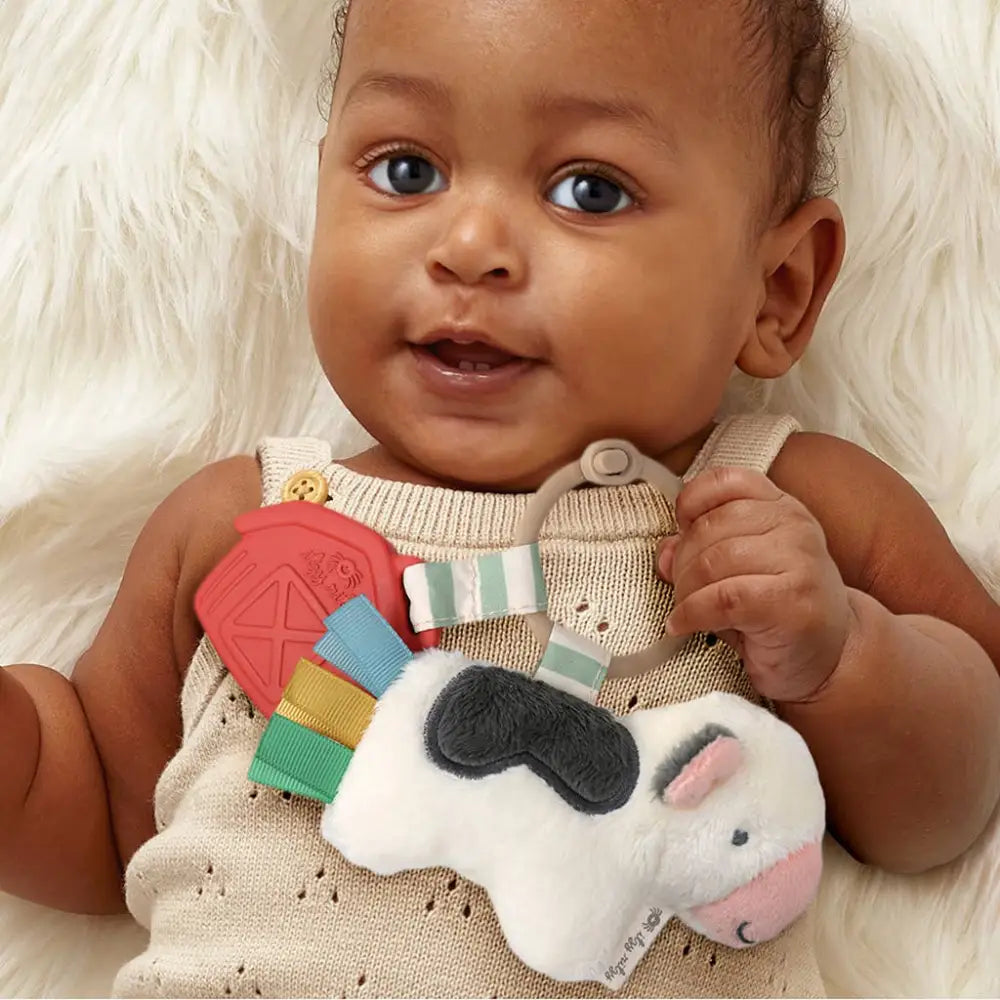 Itzy Ritzy Canada - Pal™ Plush + Teether