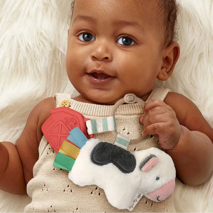 Itzy Ritzy Canada - Pal™ Plush + Teether
