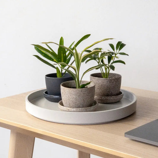 Kanso Designs - 3’’ Upcycled Mini Planters