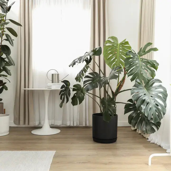 Kanso Designs - Kuro Black Planter + Saucer Large 16’’