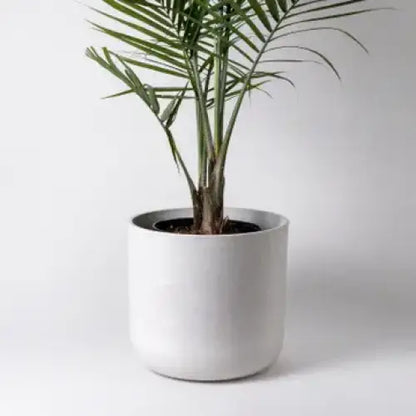 Kanso Designs - Olive Sage Planter + Saucer Large 12’’