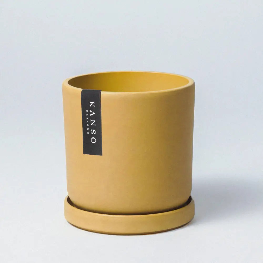 Planter + Saucer - PABOOM