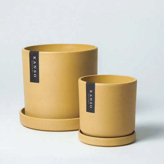 Kanso Designs Planter + Saucer 7” - Mustard