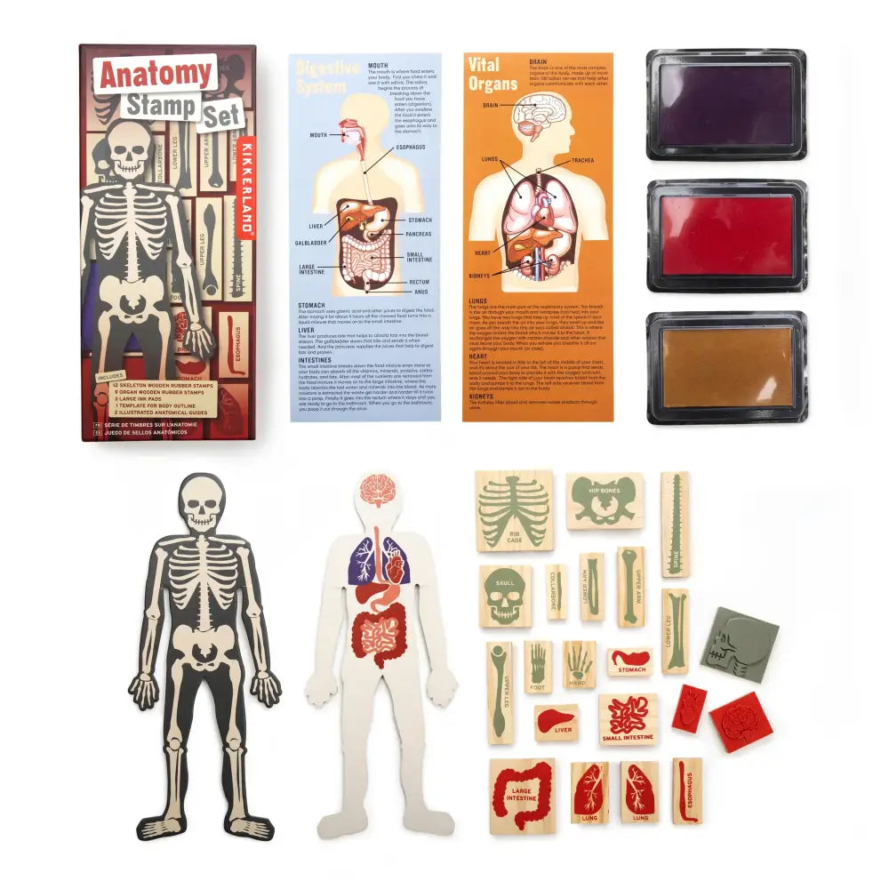 Anatomy Stamp Set - PABOOM