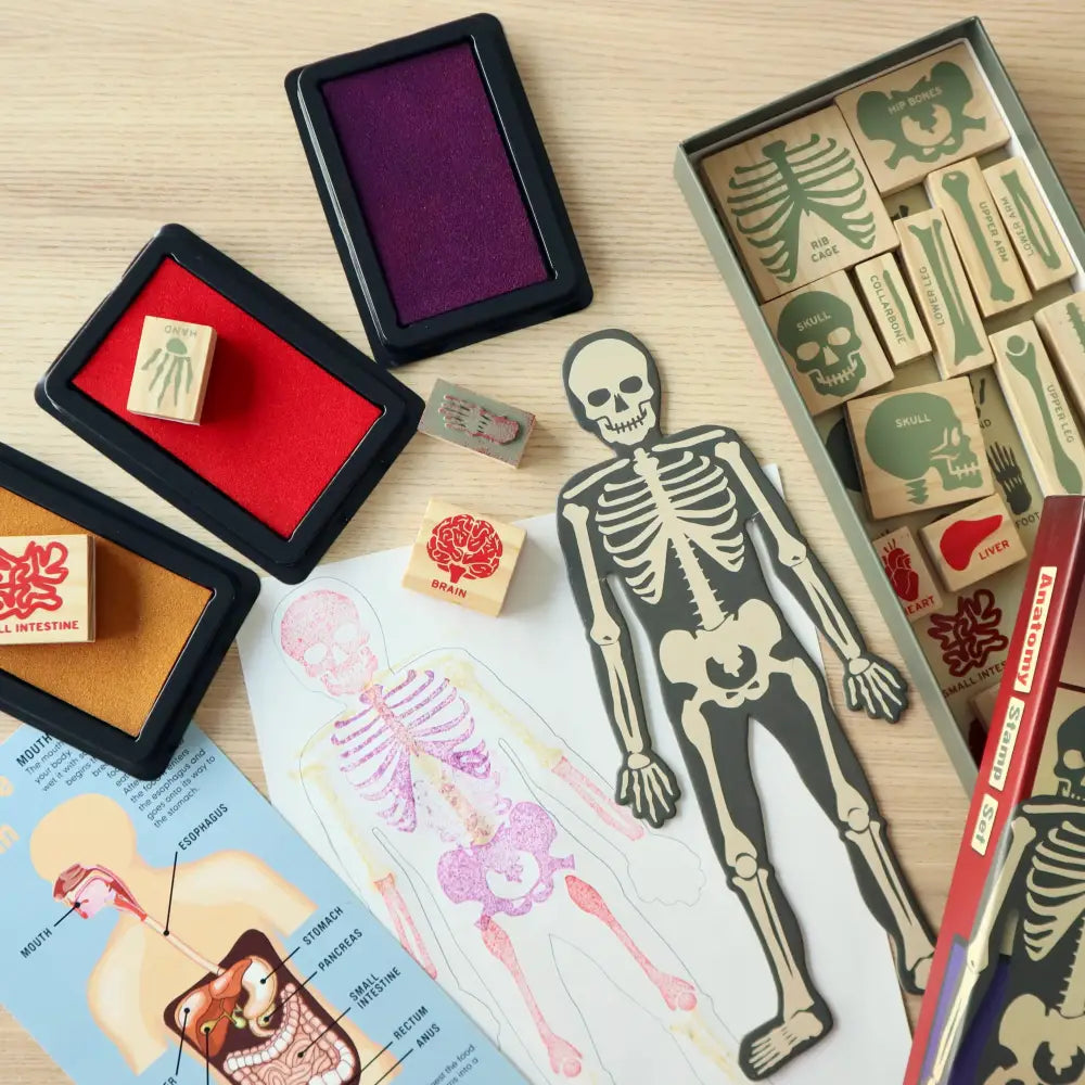 Anatomy Stamp Set - PABOOM