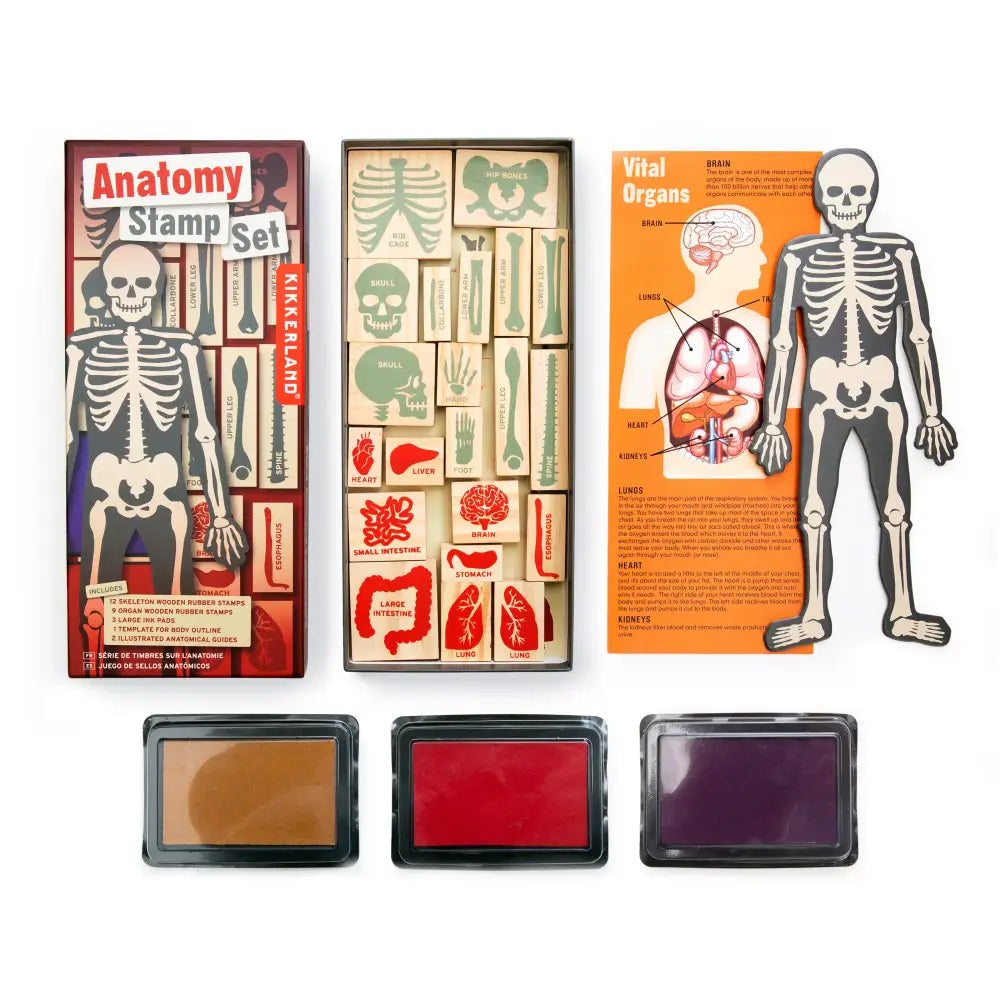 Anatomy Stamp Set - PABOOM