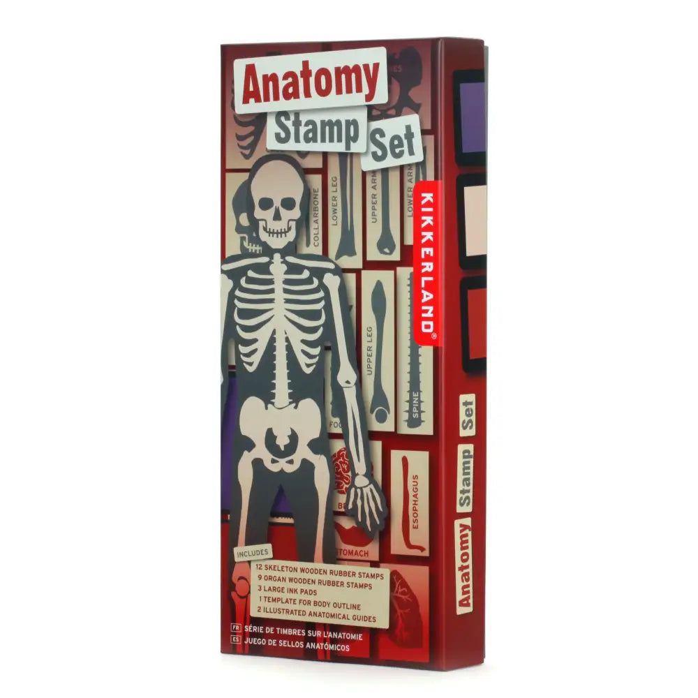 Anatomy Stamp Set - PABOOM